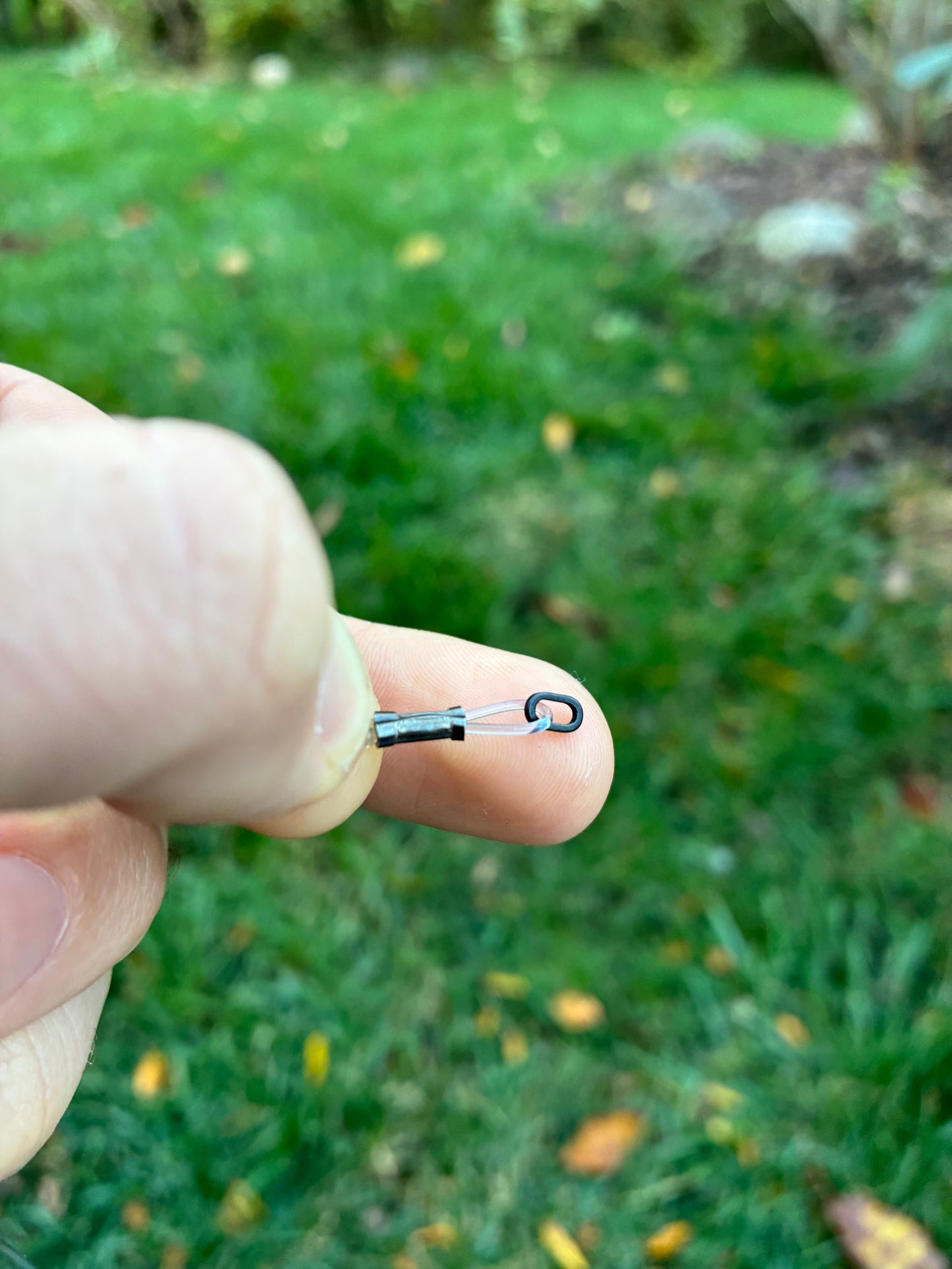 Top Frog (Ships within 5-10 business days)